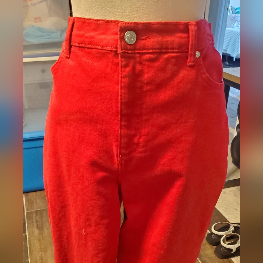 Gloria Vanderbilt shorts Size 14